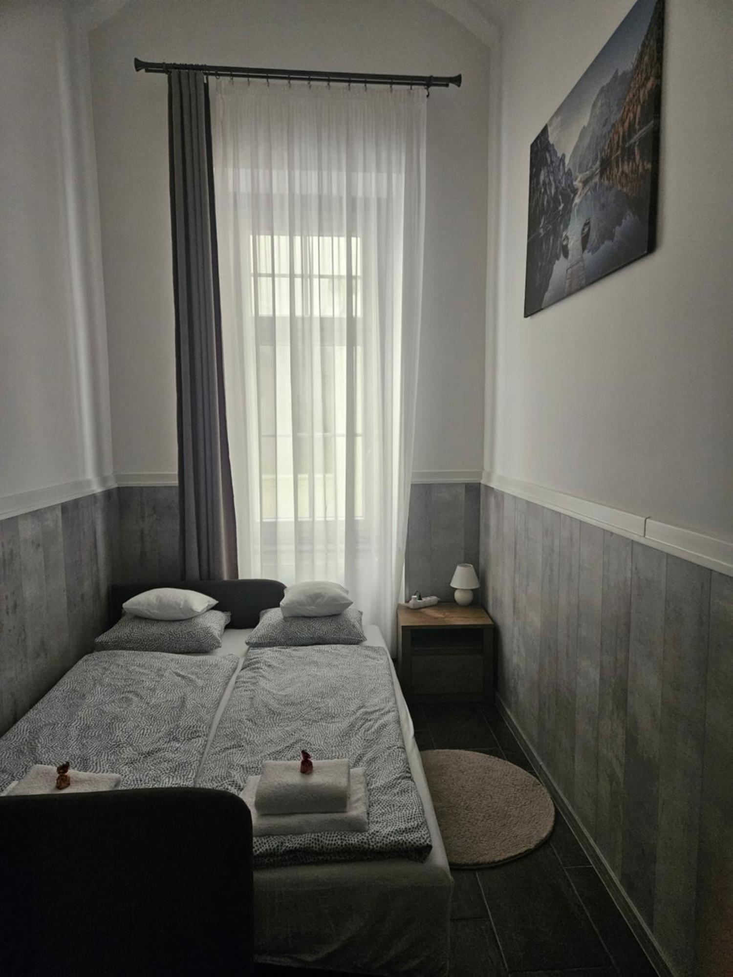 D3 Basilica Luxury Spacious Free Parking For 1 Car ブダペスト エクステリア 写真